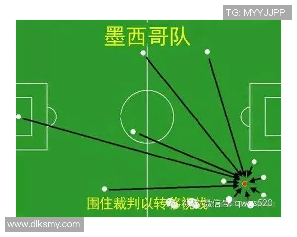 杭州排球队配合表现的数据分析与战术探讨